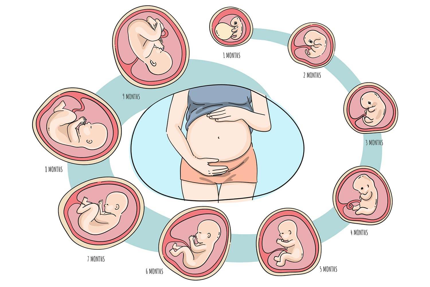 美国代母 | 代孕妈妈怀孕过程中要做哪些产检项目? - GSHC Surrogacy Agency